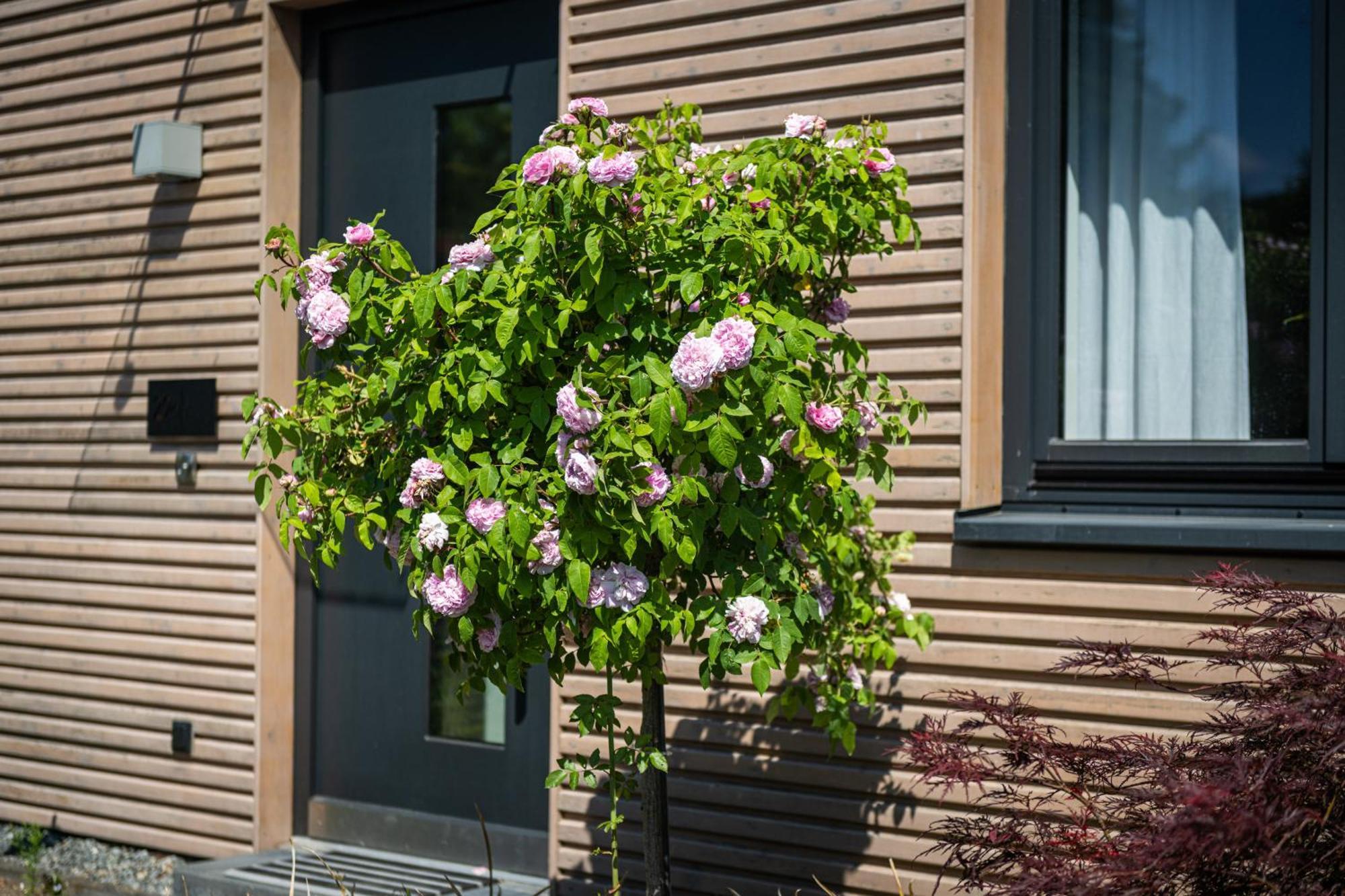Deine Genuss-Auszeit Villa Asendorf Ngoại thất bức ảnh