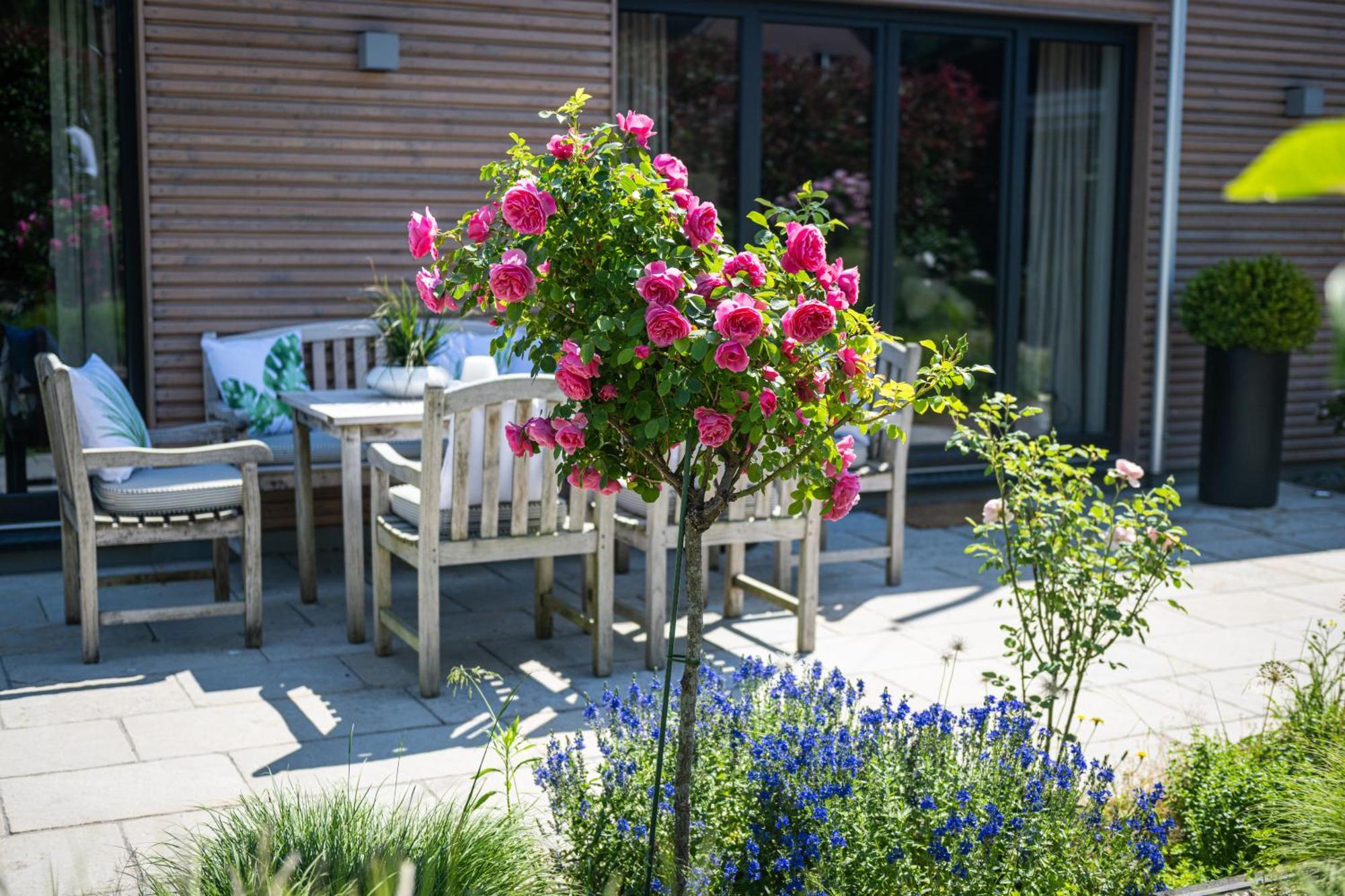 Deine Genuss-Auszeit Villa Asendorf Ngoại thất bức ảnh